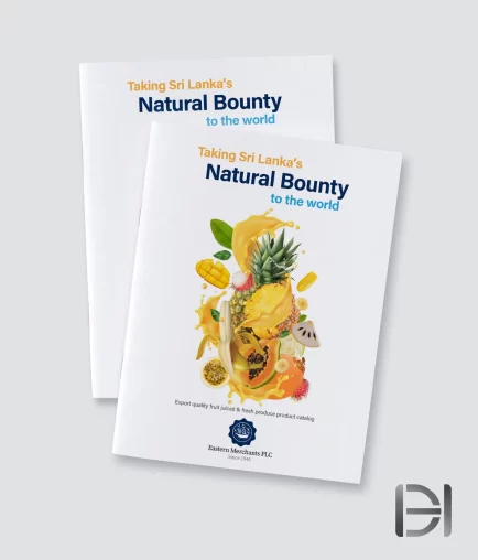Product catalog design