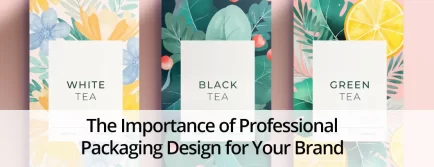 Professional Packaging Design